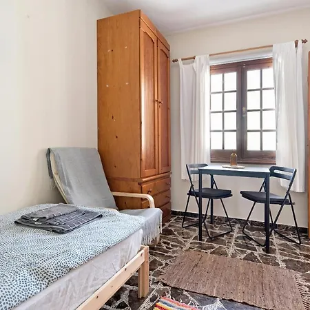 House Vochozka 招待所 3*